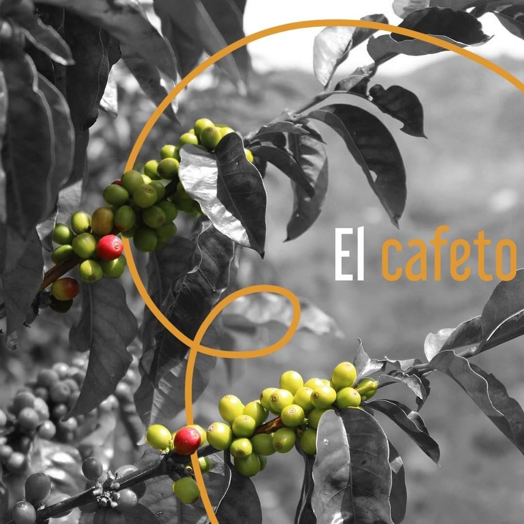 Café en Grano El Buen Coyote