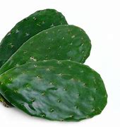 Nopal (kg) (Súper)