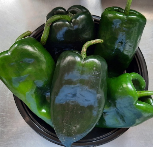 Chile Poblano (kg) (MAPI)